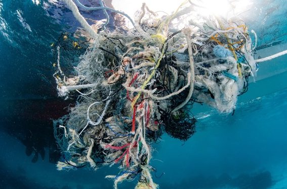 Conservation Diving