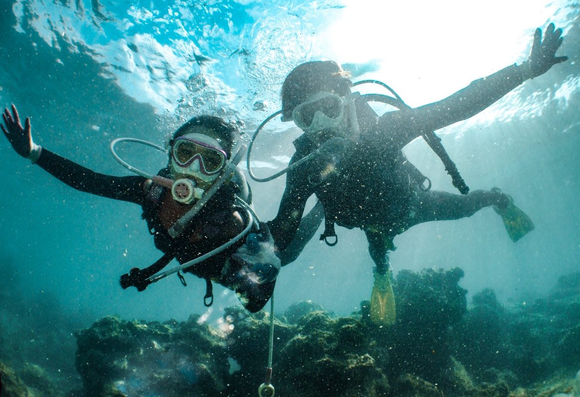 Guided fun dive