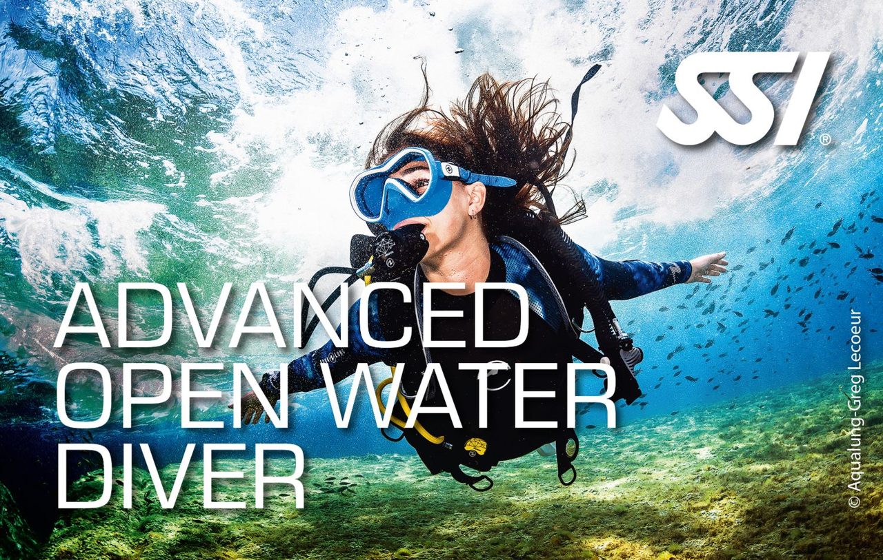 SSI Advanced Adventurer